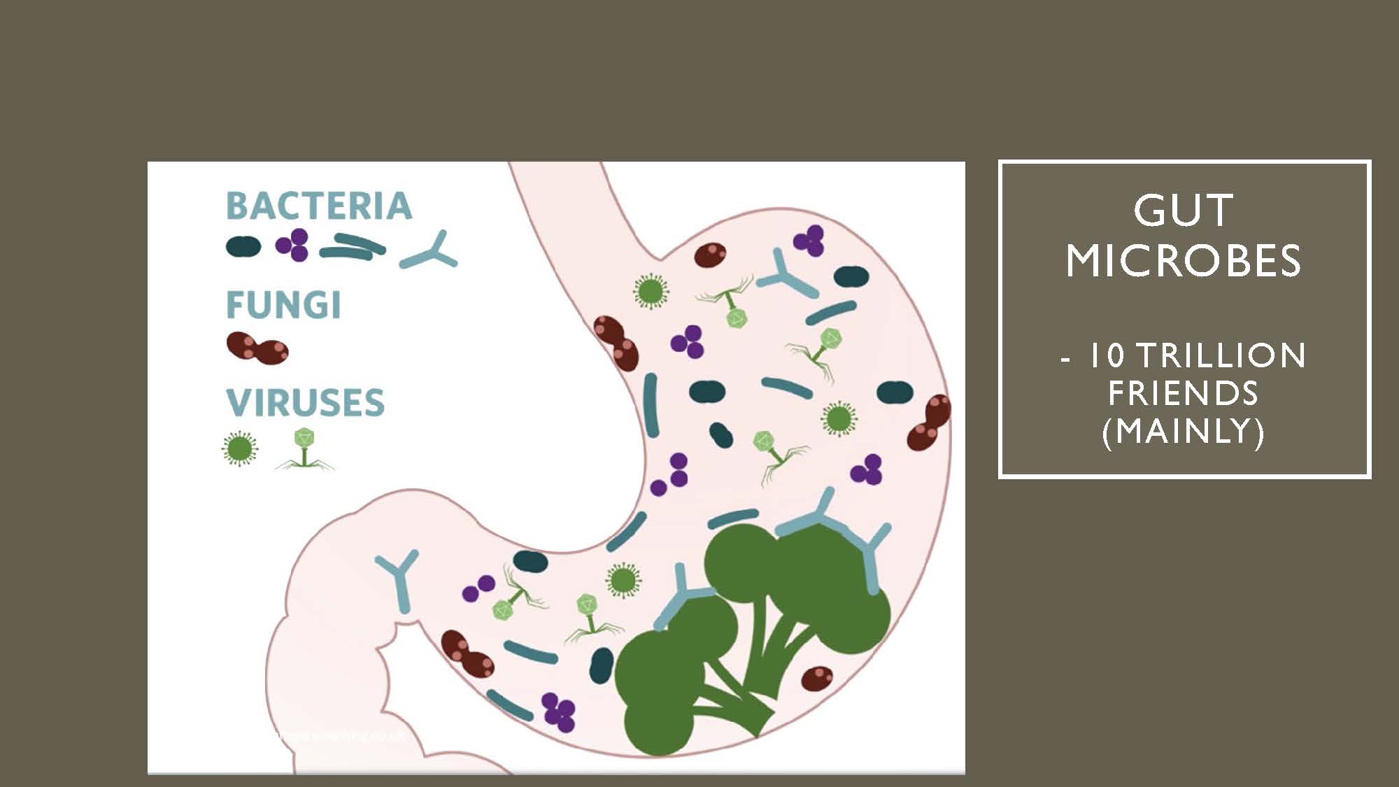 Alison-Flanagan_Slide_073