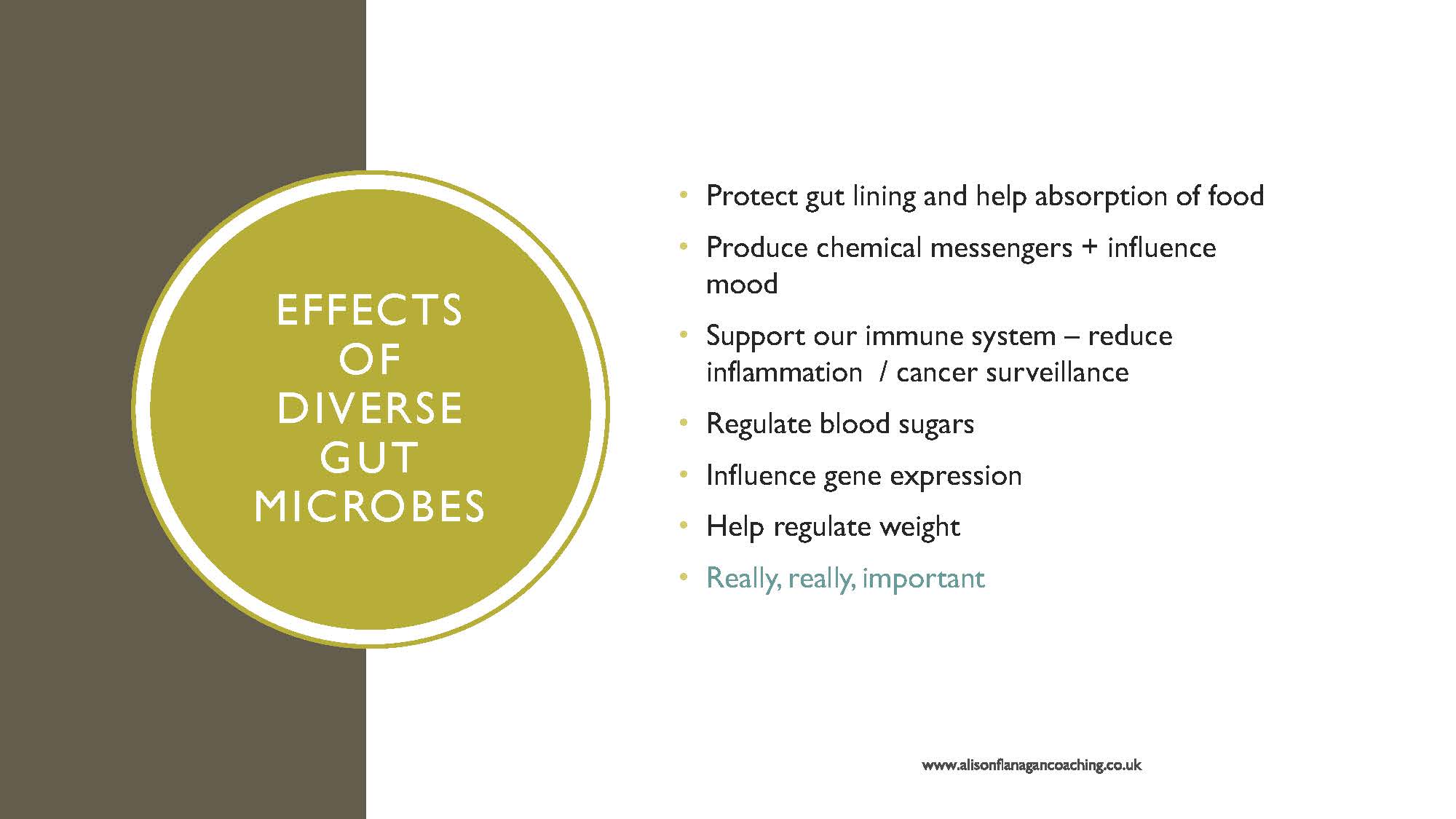 Alison-Flanagan_Slide_074