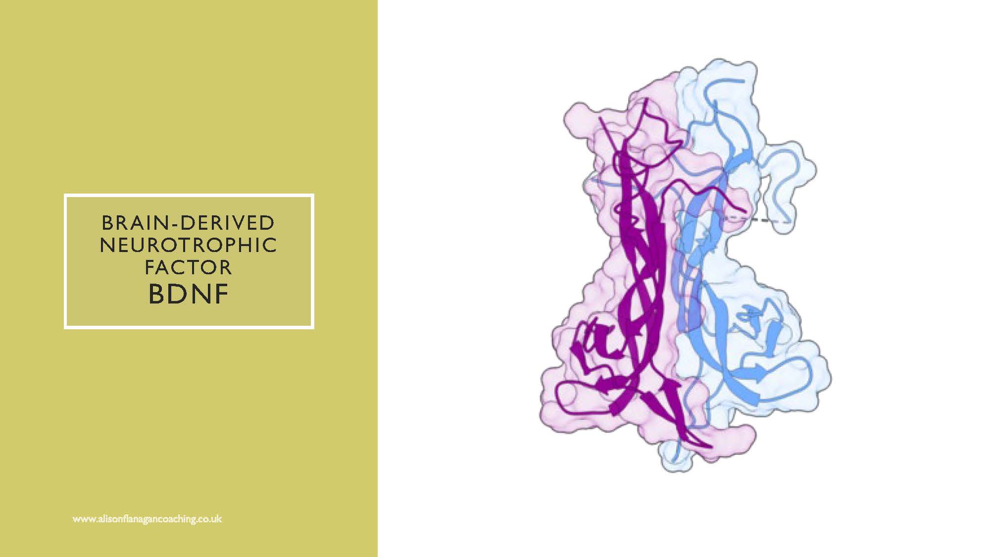 Alison-Flanagan_Slide_082
