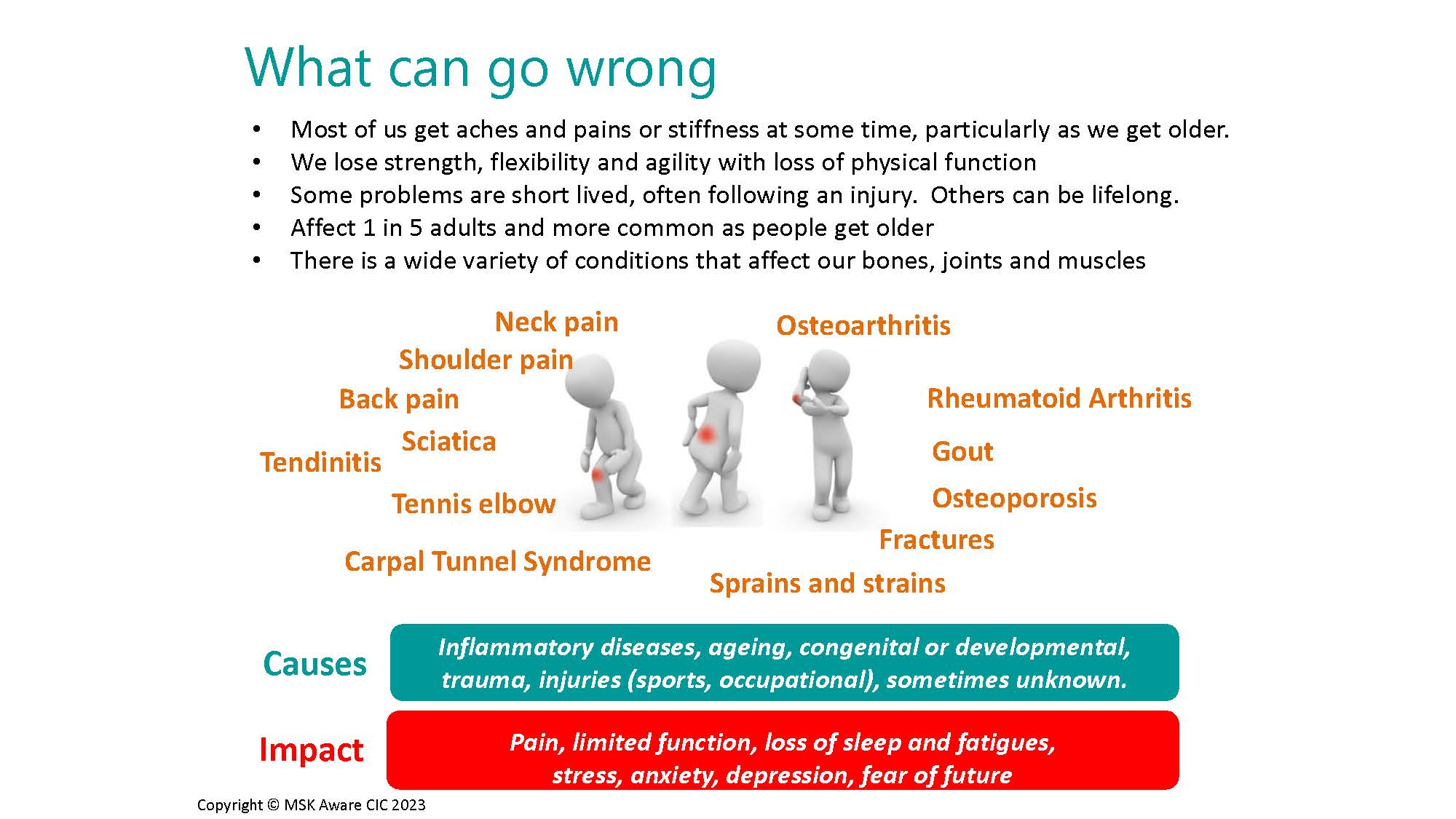 Anthony-Woolf_Slide_050