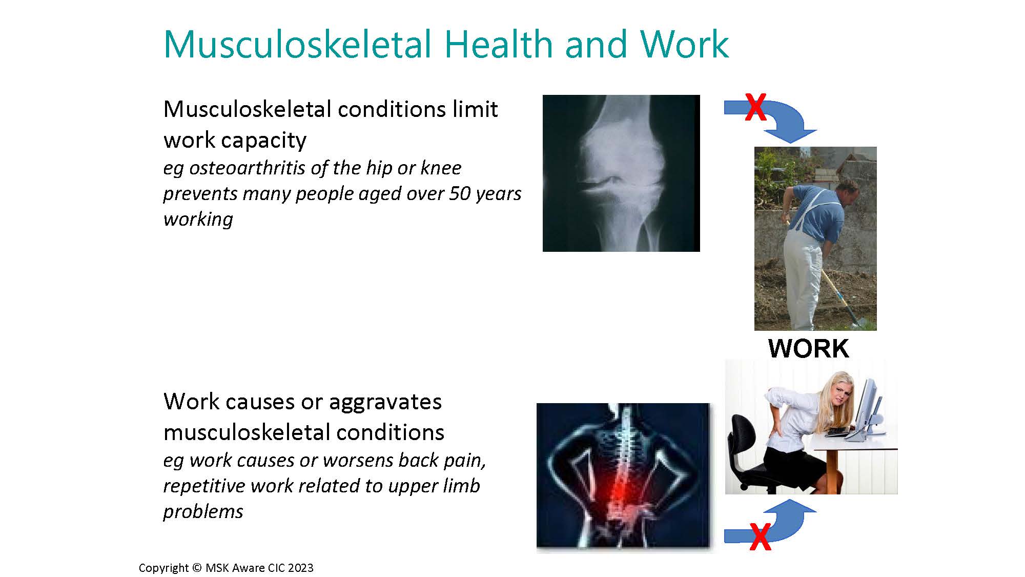 Anthony-Woolf_Slide_051