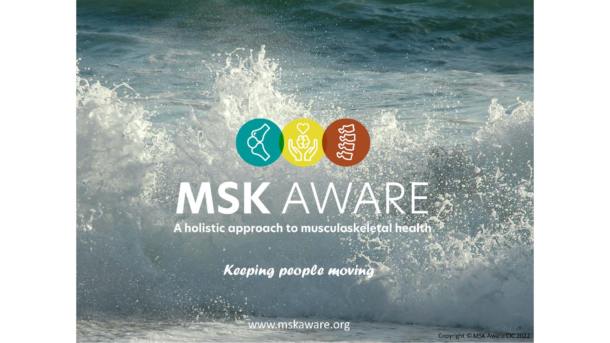 Anthony-Woolf_Slide_066