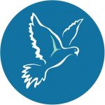 An image of the Duchy Health Charity blue bird logo. A dark teal background with a white bird outline in the middle.